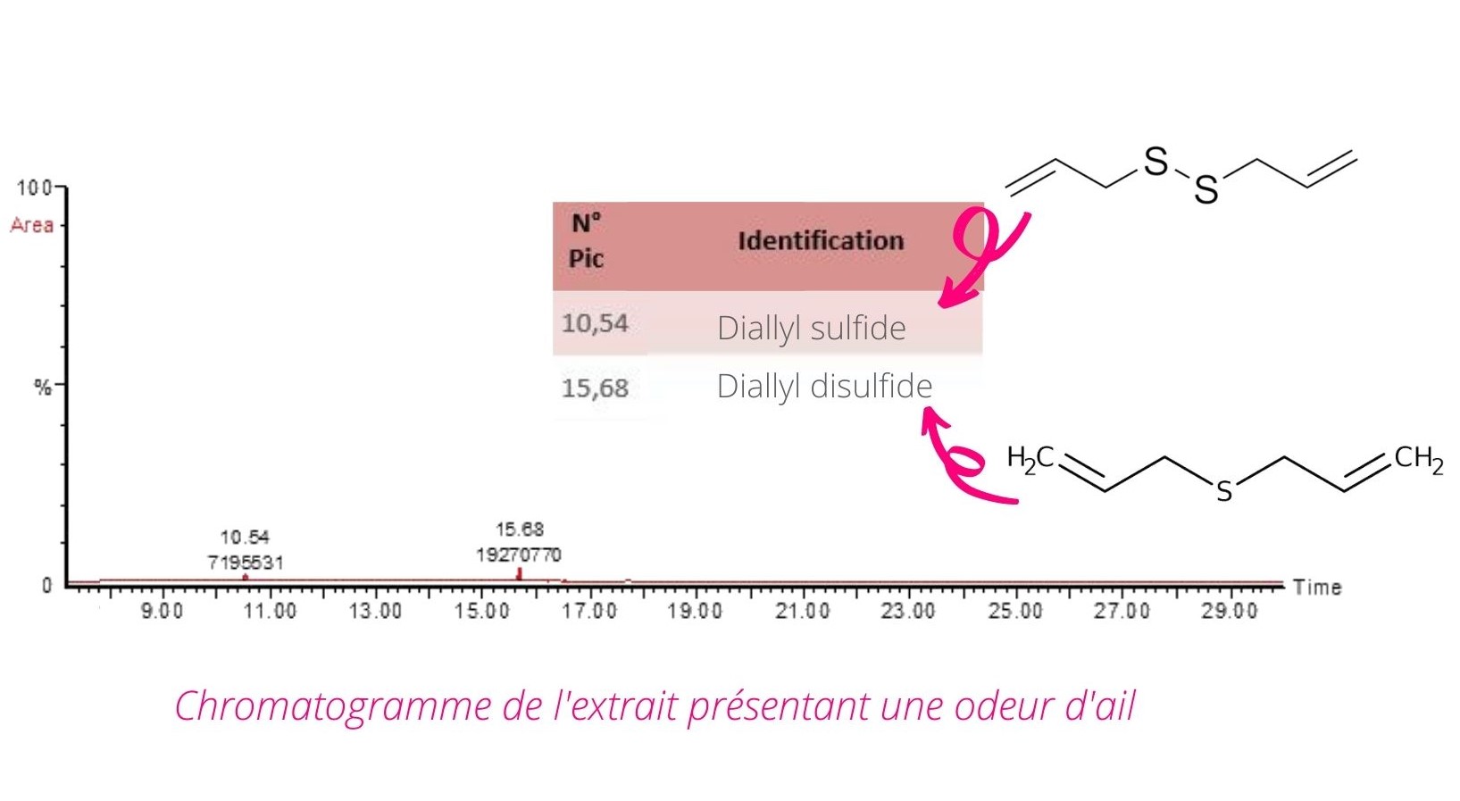 Origine de l'odeur d'ail dans une usine